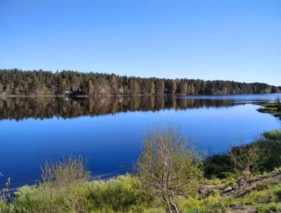 Участок в Ленинградская область, Выборгский район, Рощино пгт ул. ... - Фото 1