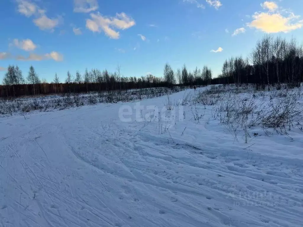 Участок в Амурская область, Благовещенск  (2251.49 сот.) - Фото 1