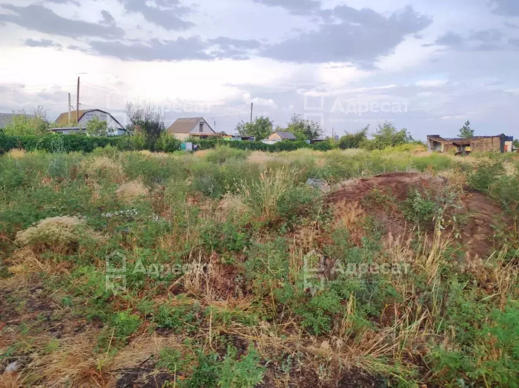 Участок в Волгоградская область, Светлоярский район, Червленовское ... - Фото 1