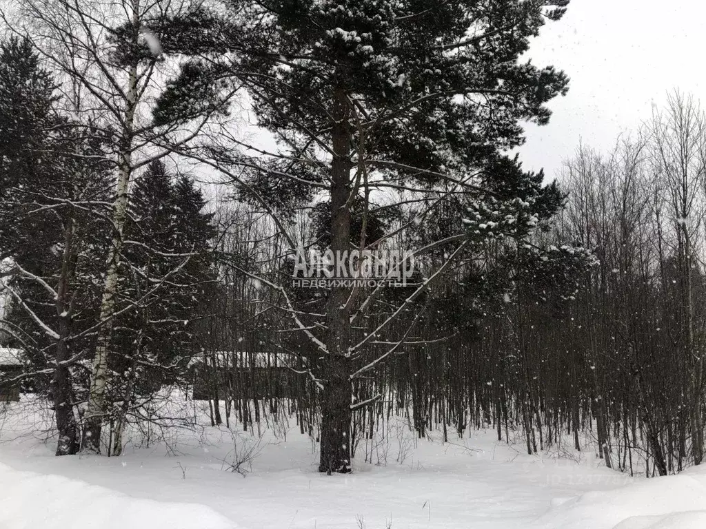 Участок в Ленинградская область, Приозерский район, Ларионовское ... - Фото 1