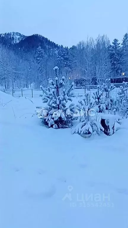 Участок в Алтай, Майминский район, Соузгинское с/пос, Катунь ДНП  ... - Фото 0