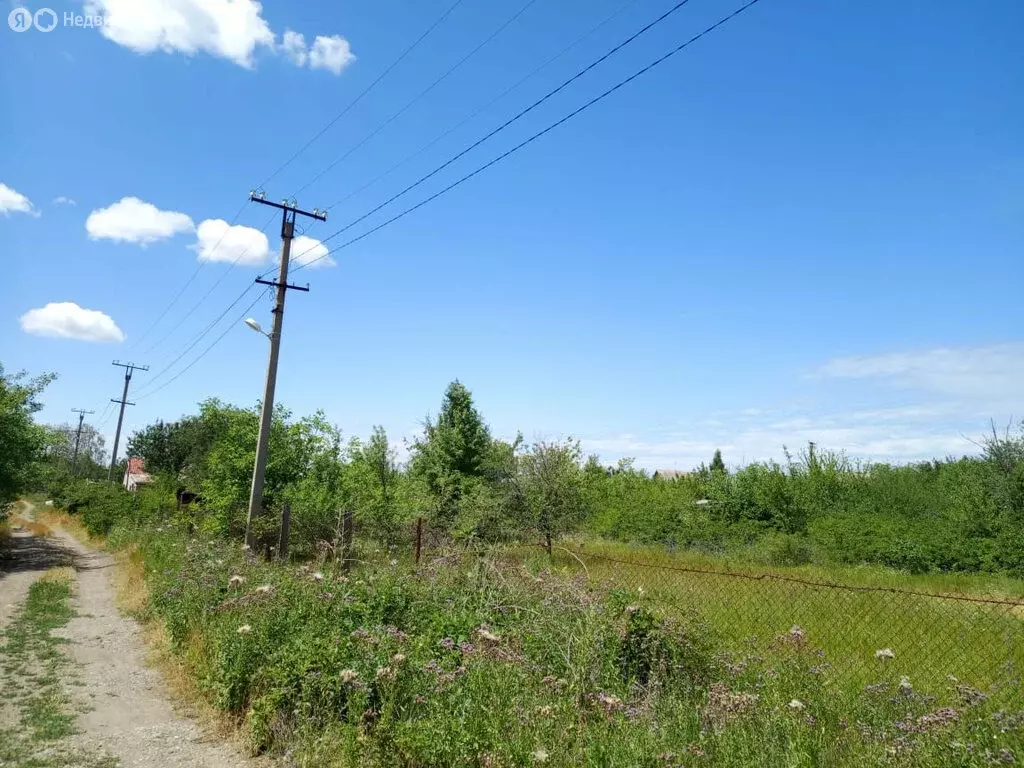 Участок в Ейск, СТСН Заря (5 м) - Фото 1
