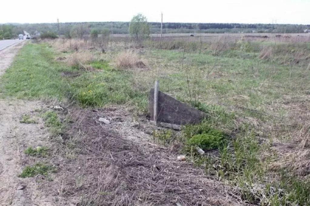 Участок в Ленинградская область, Ломоносовский район, Русско-Высоцкое ... - Фото 0