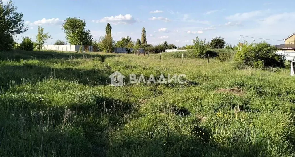 Участок в Белгородская область, Белгородский муниципальный округ, с. ... - Фото 1