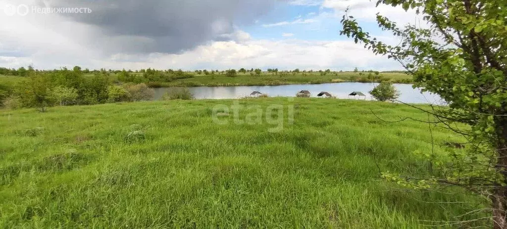 Участок в Рамонский район, Русскогвоздёвское сельское поселение, село ... - Фото 1