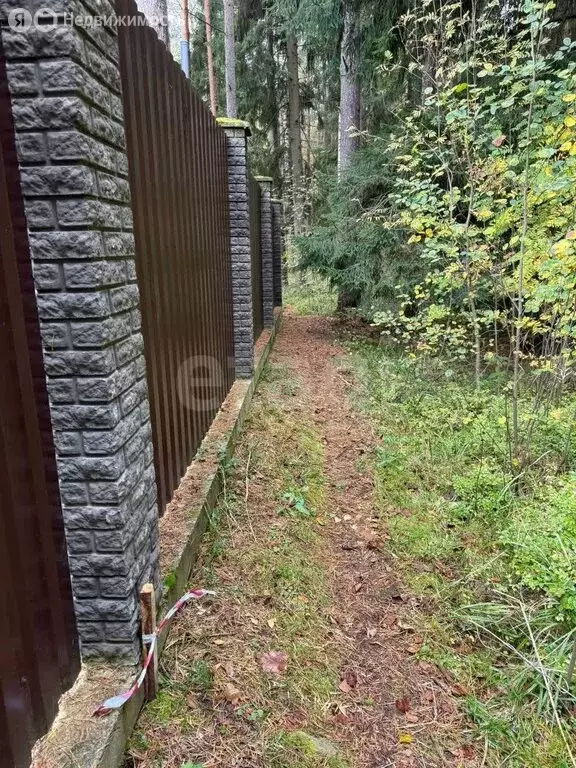 Участок в Рахьинское городское поселение, деревня Ладожский ... - Фото 2