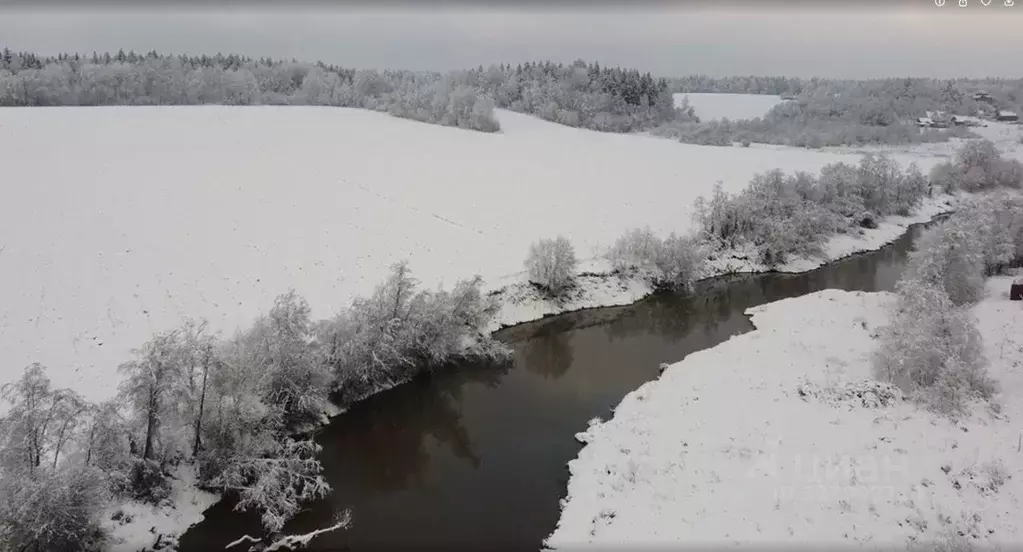 Участок в Московская область, Можайский муниципальный округ, Лесная ... - Фото 2