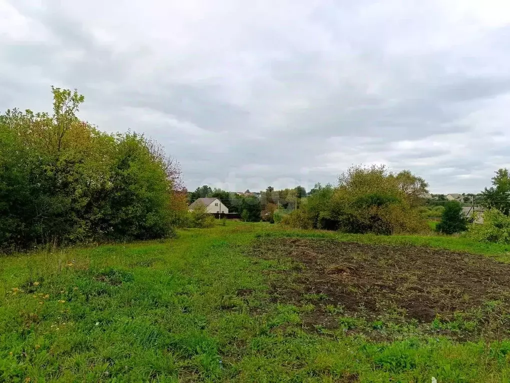 Участок в Мордовия, с. Лямбирь ул. Крестьянская (21.0 сот.) - Фото 1