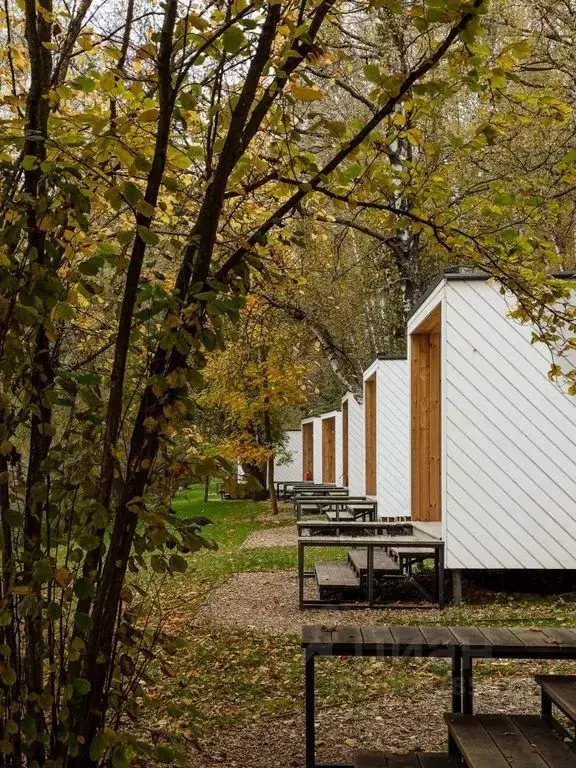 Дом в Московская область, Солнечногорск городской округ, д. Шевлино  ... - Фото 0