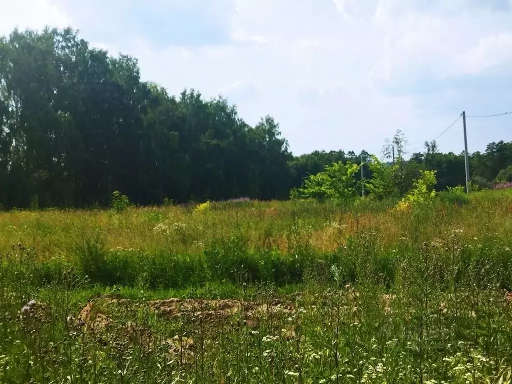 Участок в Тульская область, Ясногорский район, Теляковское с/пос, д. ... - Фото 1