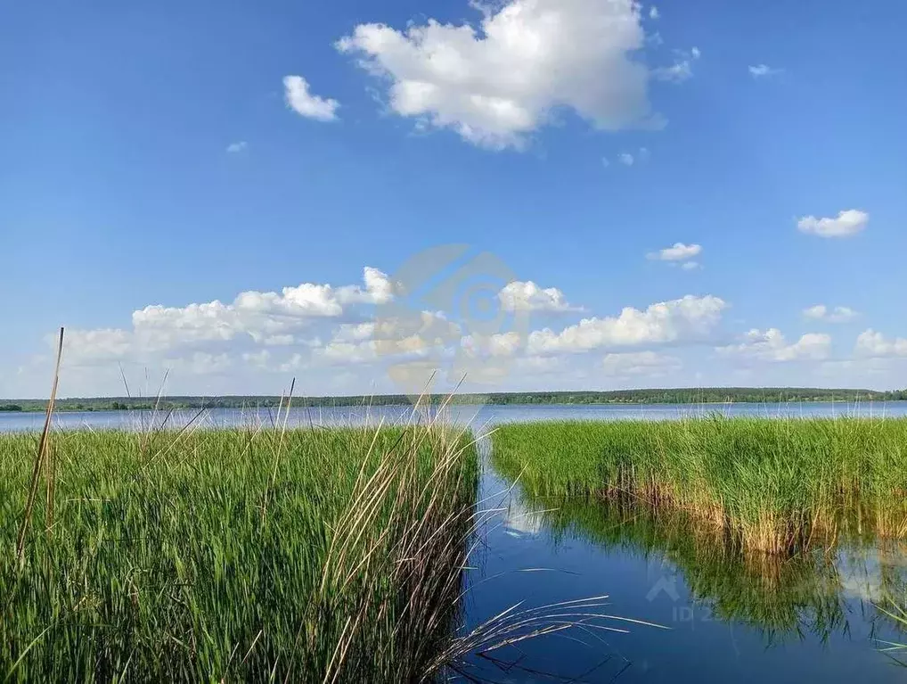 Дом в Курская область, Горшеченский район, Куньевский сельсовет, ... - Фото 0