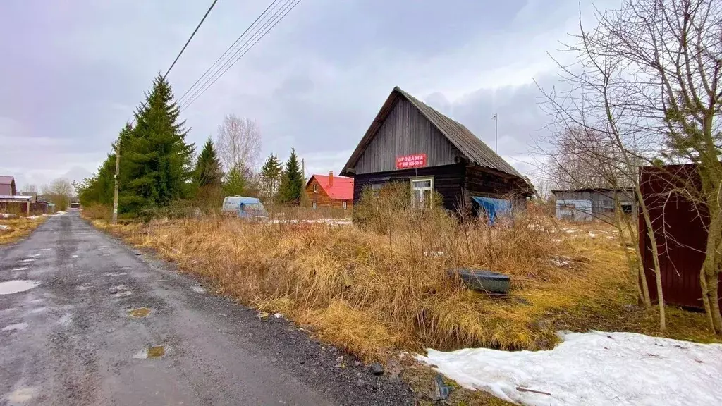 Участок в Санкт-Петербург, Санкт-Петербург, Павловск Славяночка-2 СНТ, ... - Фото 1