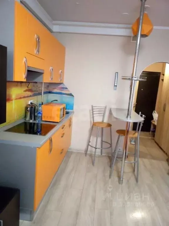 Студия Ленинградская область, Мурино Всеволожский район, пл. ... - Фото 2