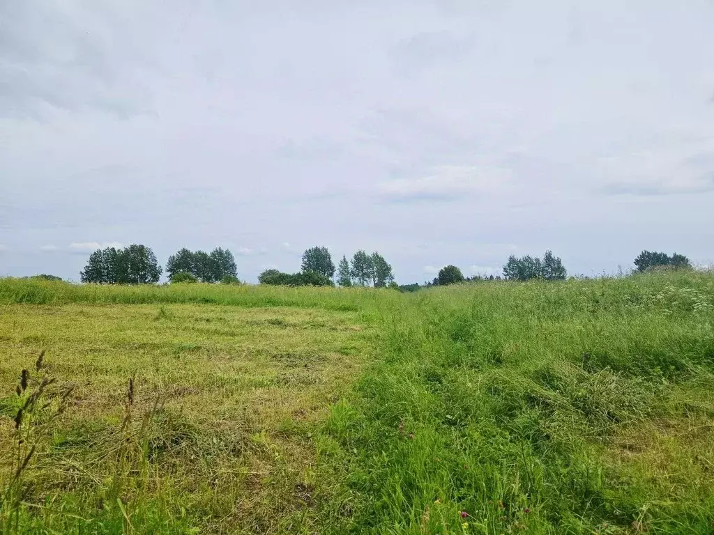 Участок в Ленинградская область, Ломоносовский район, Лопухинское ... - Фото 2