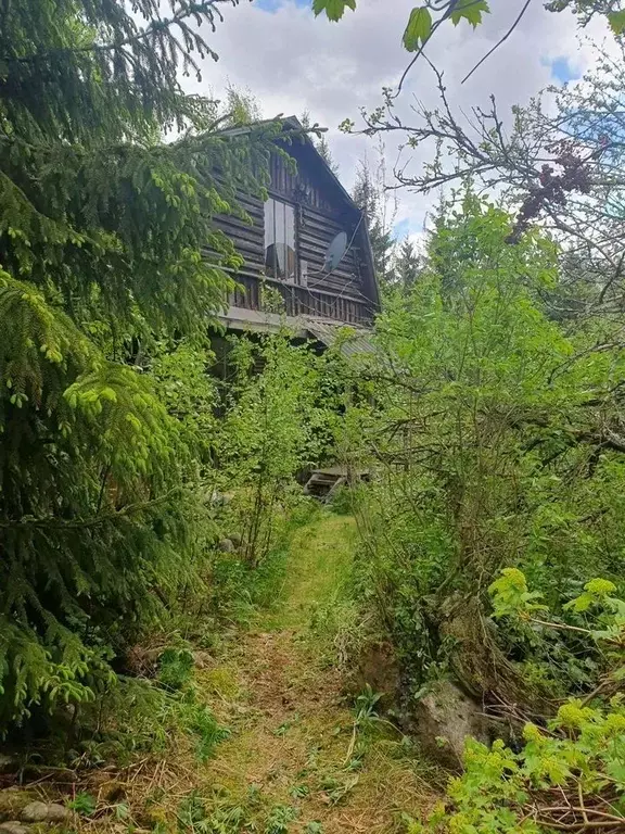 Участок в Ленинградская область, Выборгский район, Рощинское городское ... - Фото 1