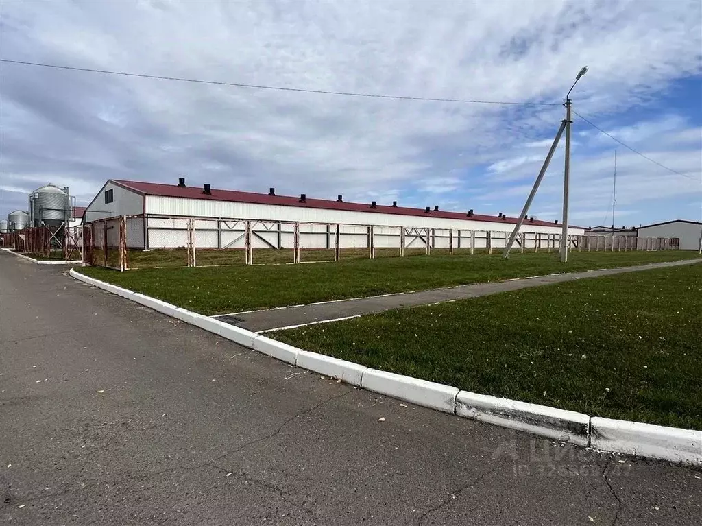 Производственное помещение в Алтайский край, Тальменский район, пос. ... - Фото 1