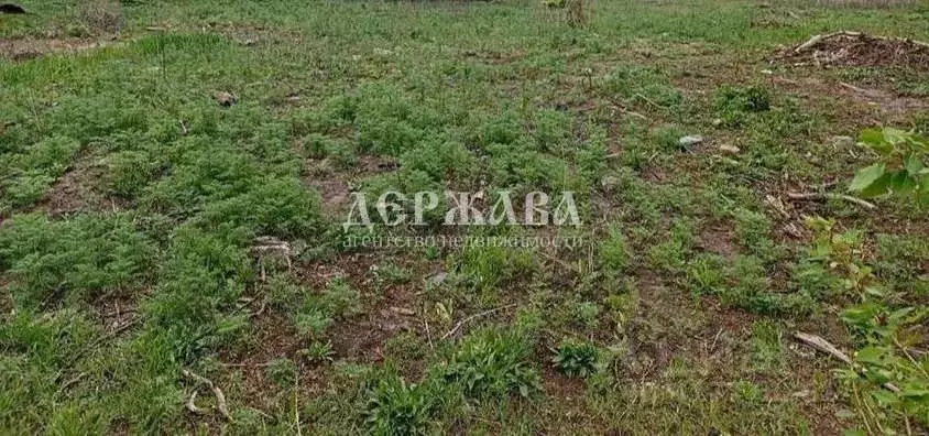 Участок в Белгородская область, Старооскольский городской округ, с. ... - Фото 0