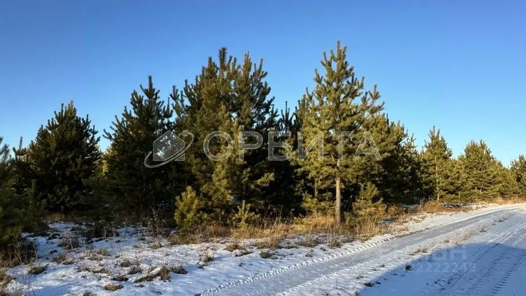 Участок в Свердловская область, Тугулымский муниципальный округ, с. ... - Фото 1