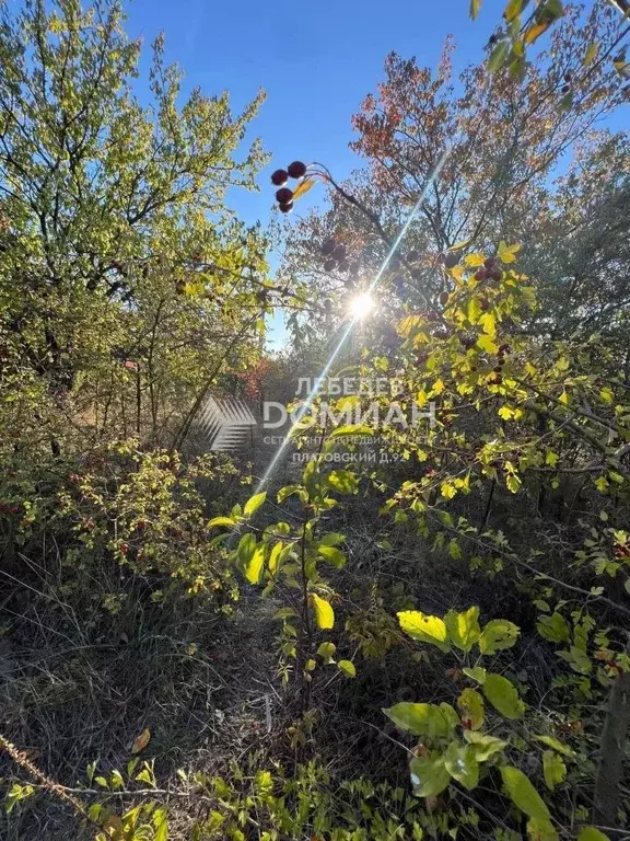 Участок в Ростовская область, Новочеркасск Лиховской пер., 7 (5.0 ... - Фото 1
