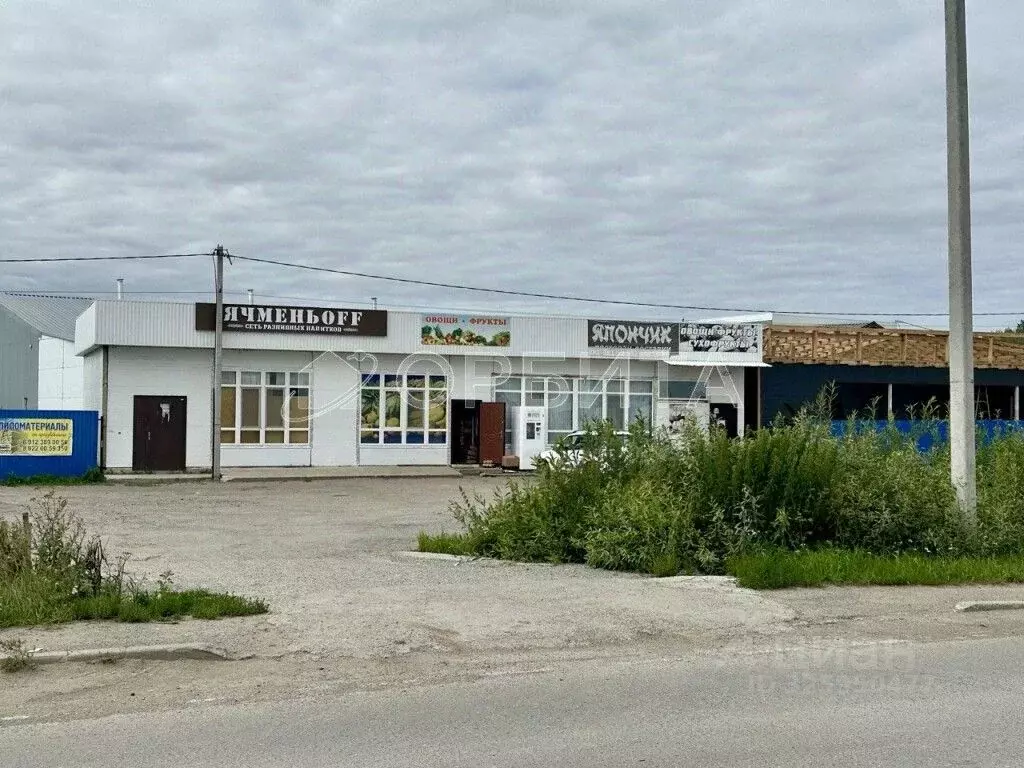 Участок в Тюменская область, Тюменский муниципальный округ, Маяк СНТ ... - Фото 1