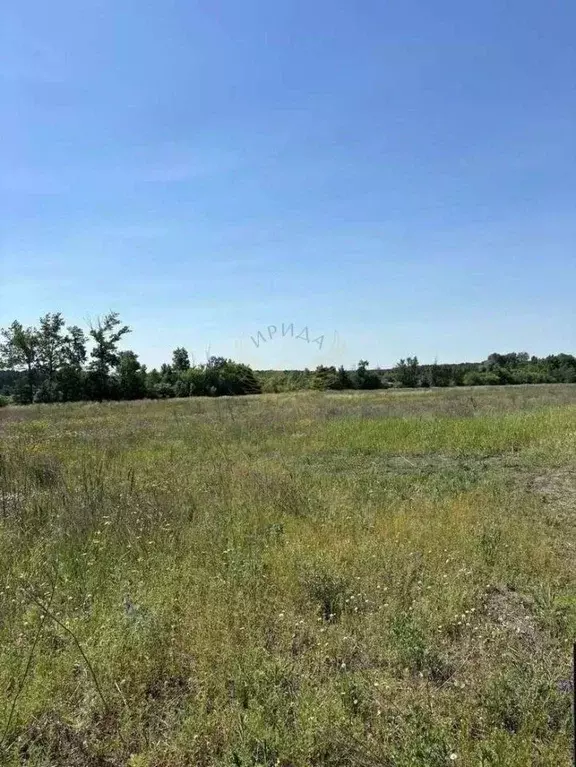 Участок в Белгородская область, Старооскольский городской округ, с. ... - Фото 2
