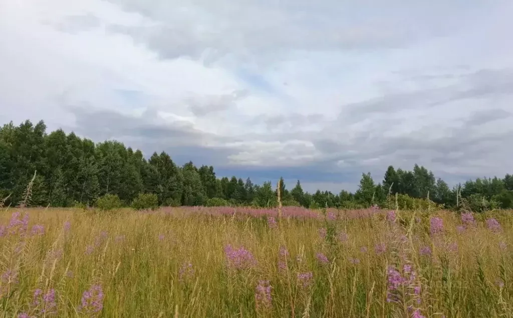 Участок в Московская область, Егорьевск муниципальный округ, с. ... - Фото 1