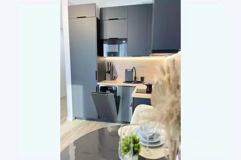 1-к кв. Краснодарский край, Новороссийск ул. Куникова, 47Г (25.0 м) - Фото 0