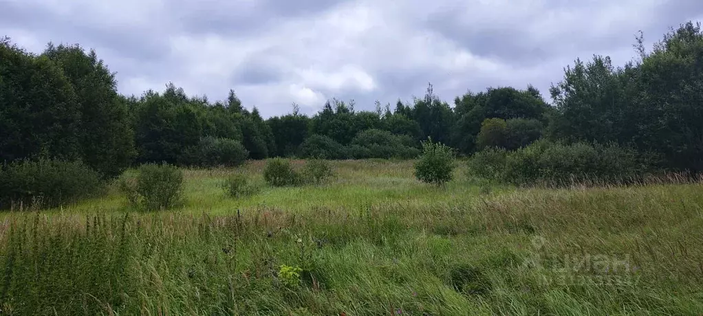 Участок в Московская область, Солнечногорск городской округ, д. Мостки ... - Фото 0