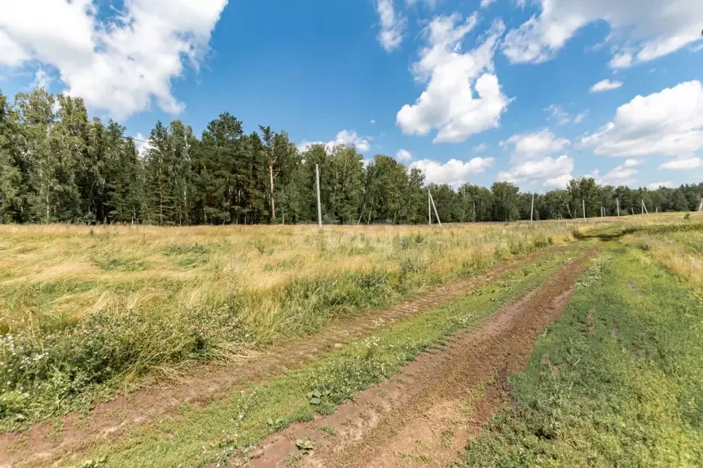 участок в алтайский край, барнаул городской округ, с. власиха, . - Фото 0