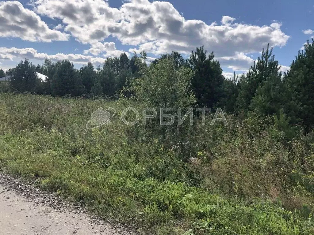 Участок в Тюменская область, с. Нижняя Тавда  (15.0 сот.) - Фото 2