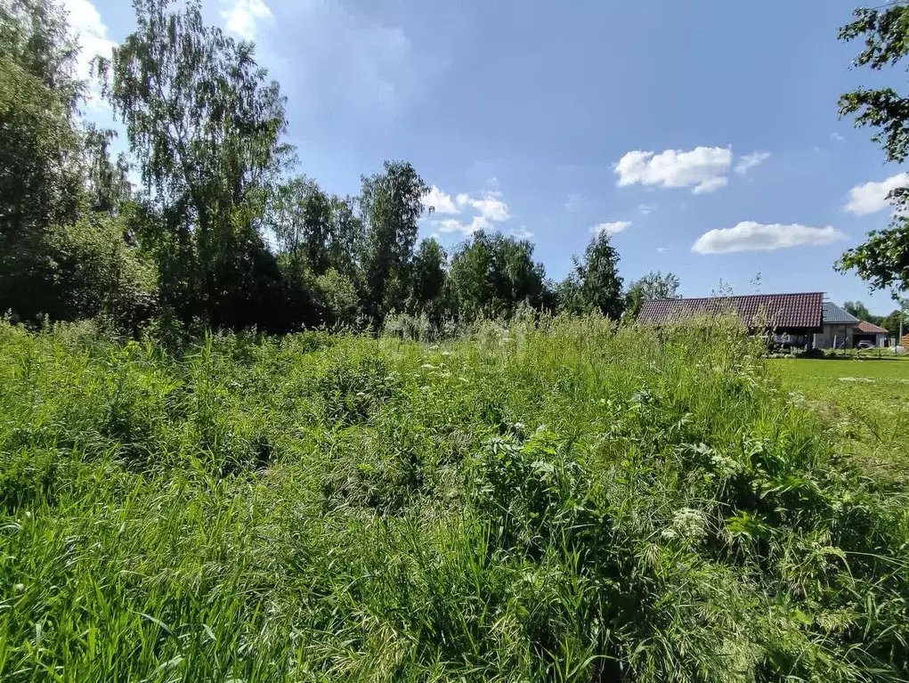 Участок в Новосибирская область, Новосибирский район, Каменский ... - Фото 1