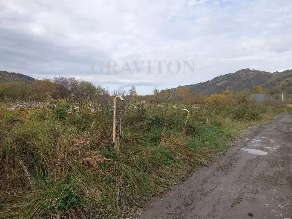 Участок в Алтай, Майминский район, с. Кызыл-Озек ул. Напалковой (10.0 ... - Фото 2