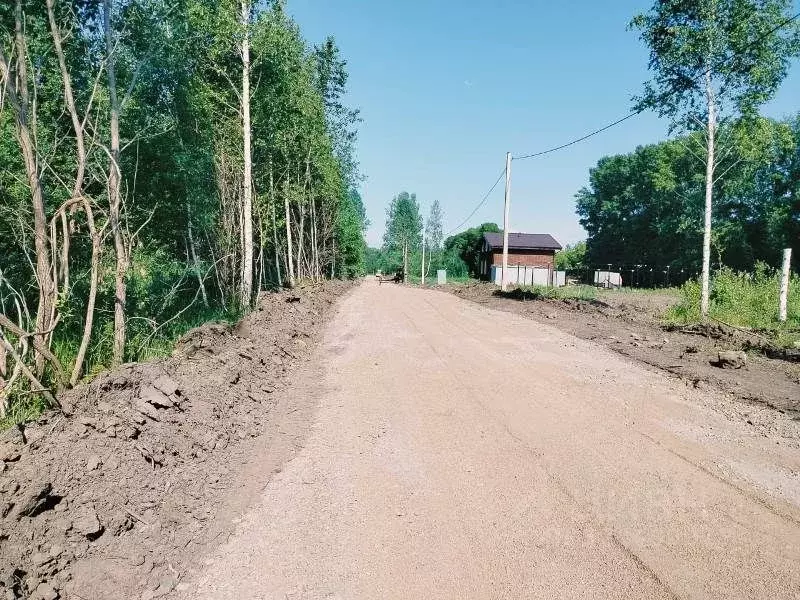 Участок в Новосибирская область, Новосибирский район, Станционный ... - Фото 2