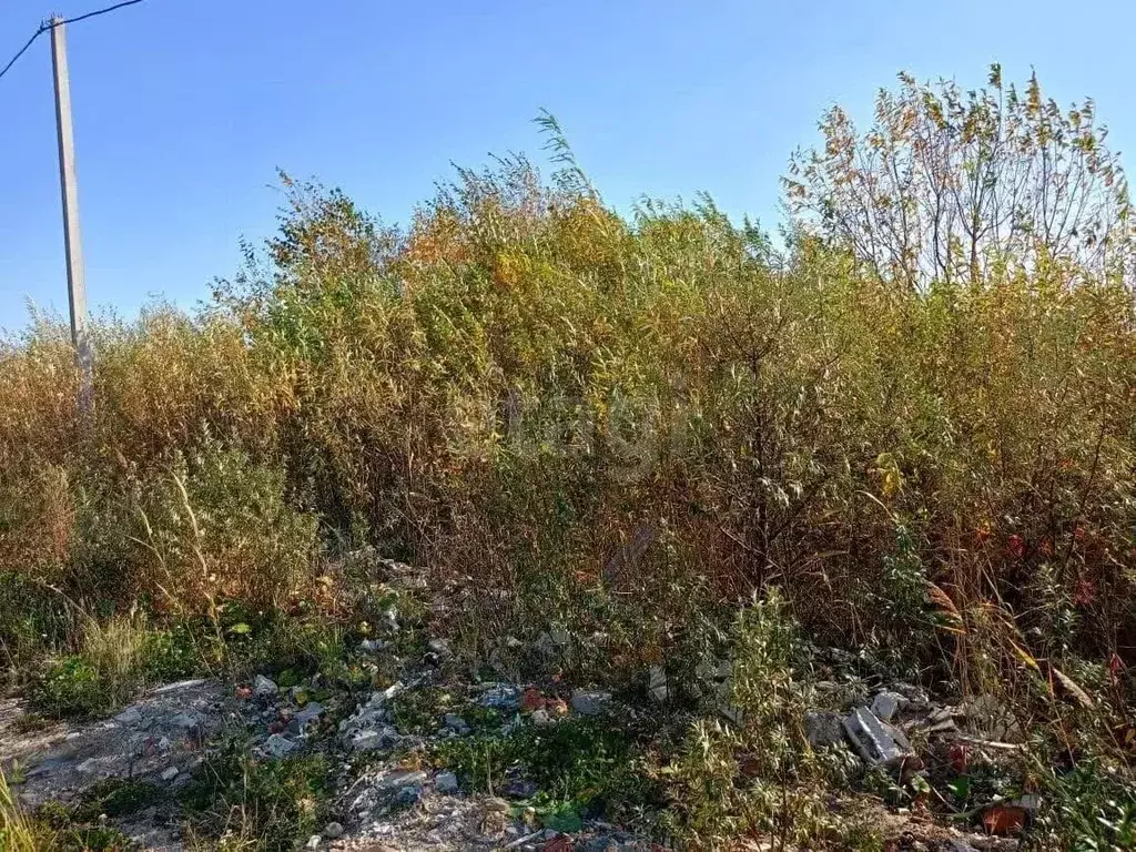 Участок в Тюменская область, Тюмень Матрешка СНТ, ул. Листопадная, 17 ... - Фото 1