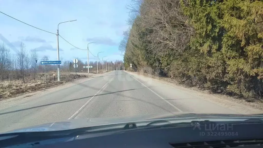 Участок в Вологодская область, д. Раскопино  (14.0 сот.) - Фото 2