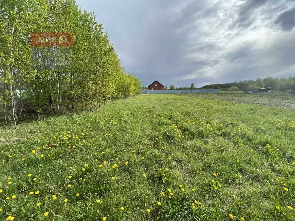 Участок в Рязанская область, Спасский муниципальный округ, с. Кирицы  ... - Фото 2