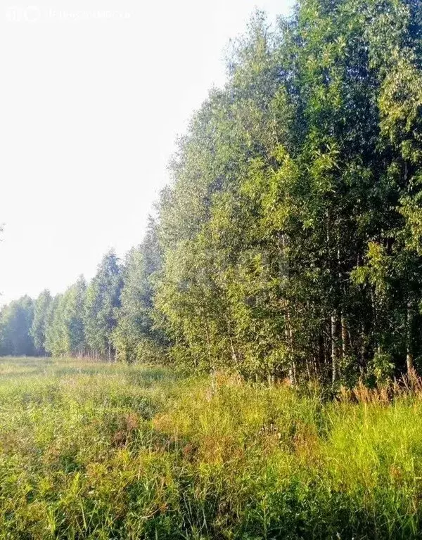 Участок в Рахьинское городское поселение, массив Рахья, улица Верности ... - Фото 2