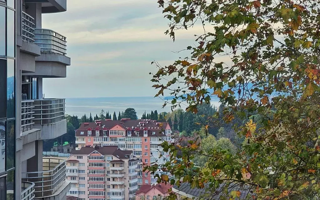 Студия Краснодарский край, Сочи Новый Сочи мкр, ул. Пирогова, 26Б/1 ... - Фото 2