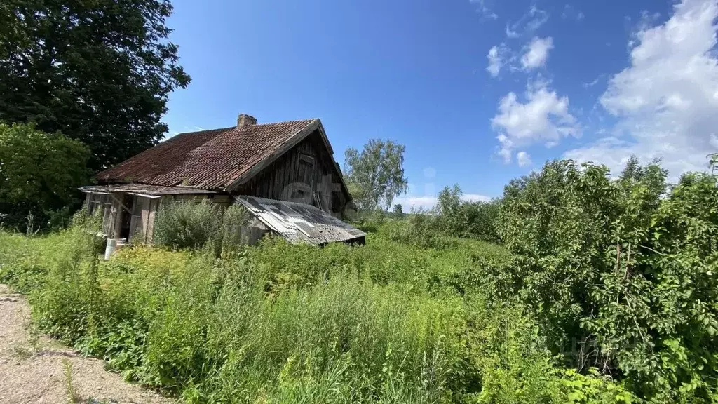 Участок в Калининградская область, Полесский муниципальный округ, пос. ... - Фото 1
