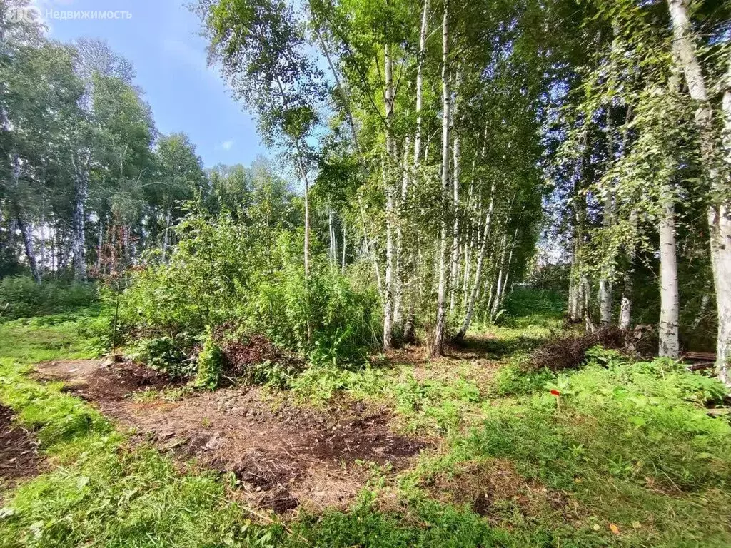 Участок в Тюмень, Ленинский округ (8.84 м) - Фото 2