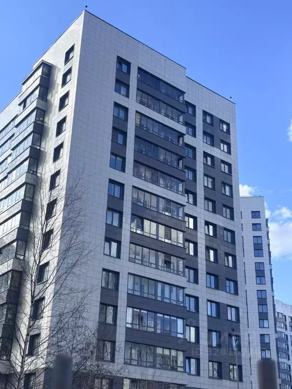 Студия Ленинградская область, Мурино Всеволожский район, просп. ... - Фото 2