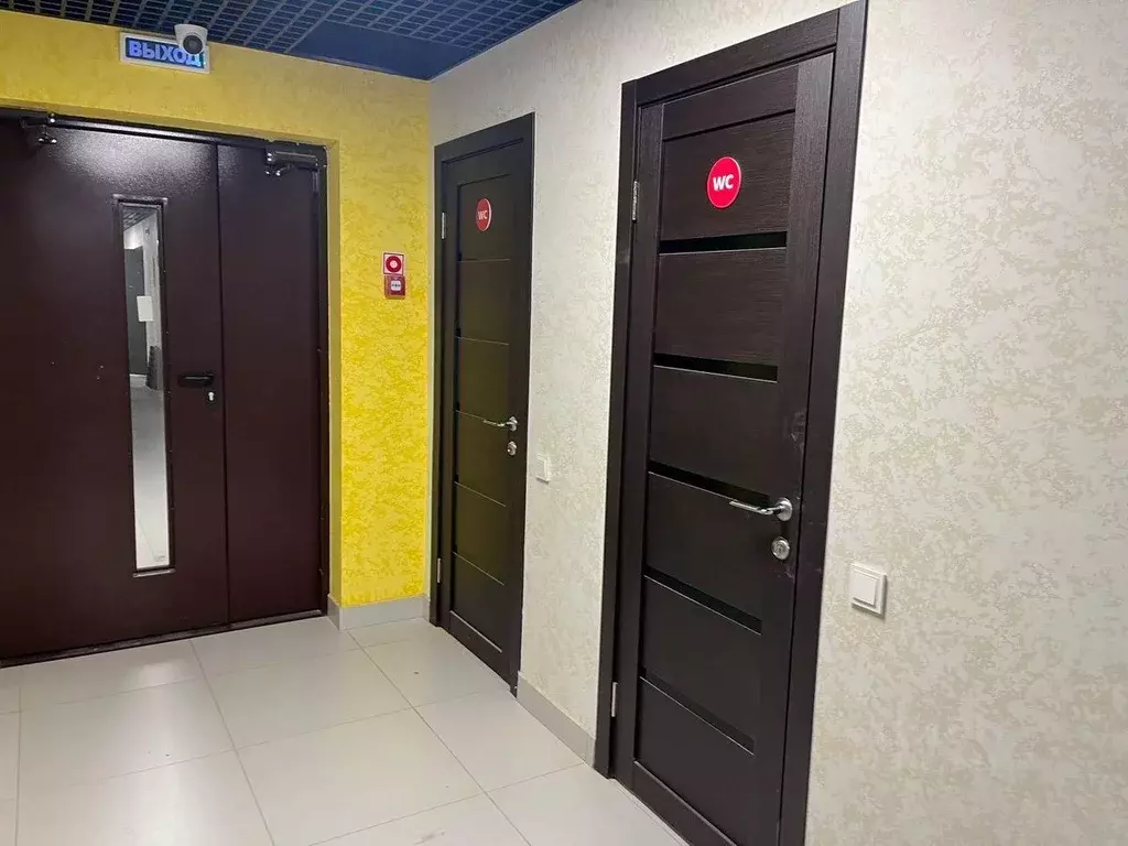 Помещение свободного назначения в Новосибирская область, Новосибирск ... - Фото 1