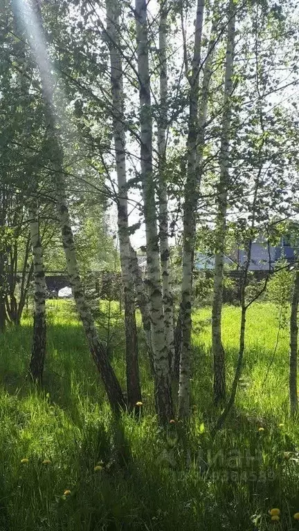 Участок в Московская область, Одинцовский городской округ, Четыре ... - Фото 1