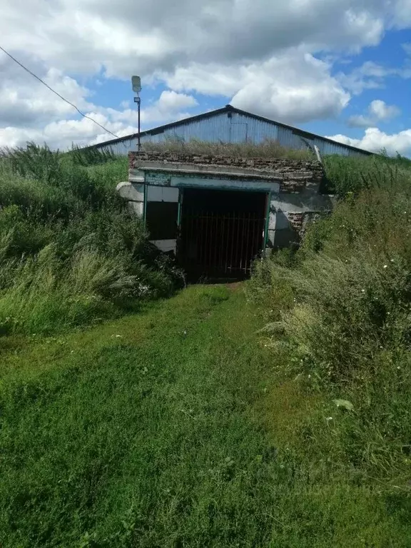 Помещение свободного назначения в Свердловская область, Каменский ... - Фото 0