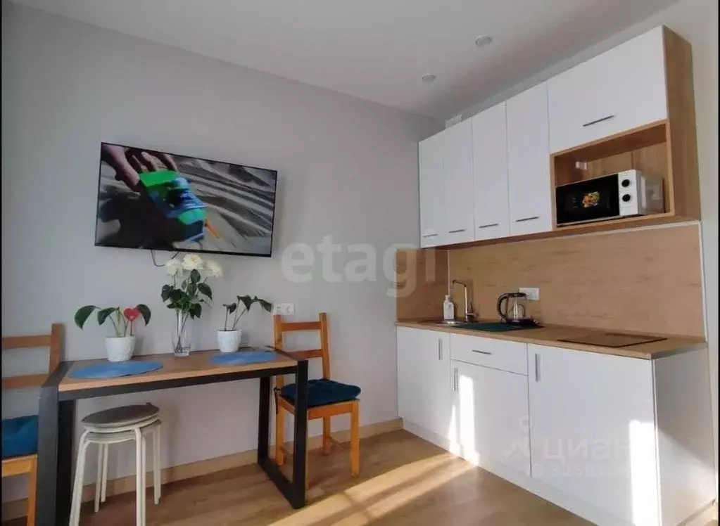 Студия Новосибирская область, Новосибирск ул. Ленина, 85 (20.0 м) - Фото 1