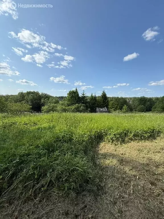 Дом в Новгородская область, Маловишерское городское поселение, деревня ... - Фото 0