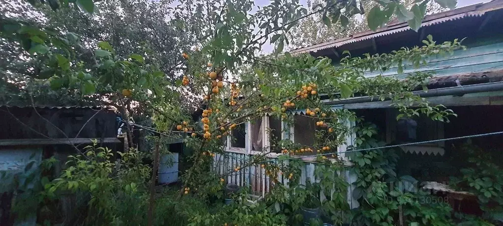 Дом в Московская область, Ленинский городской округ, д. Дыдылдино 40А ... - Фото 1