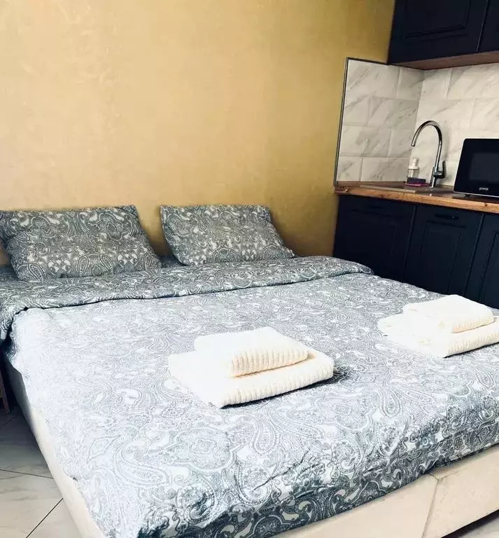 1-к кв. Московская область, Подольск Тепличная ул., 9г (23.0 м) - Фото 2