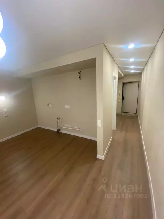 Студия Воронежская область, с. Новая Усмань ул. Полевая, 41Б (26.0 м) - Фото 2