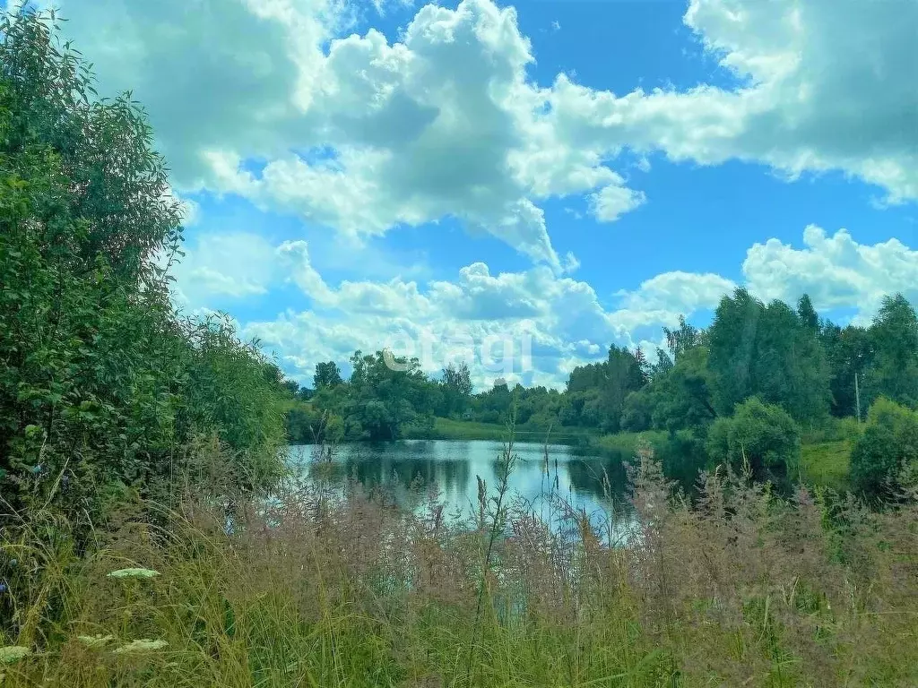 Участок в Брянская область, Жуковский муниципальный округ, д. Упрусы  ... - Фото 1